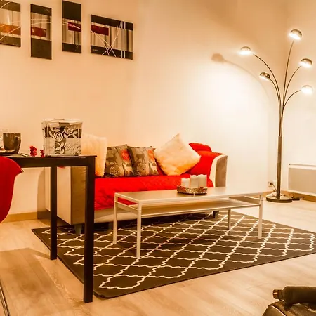 Duplex Entre Centre Et Universite * Pau